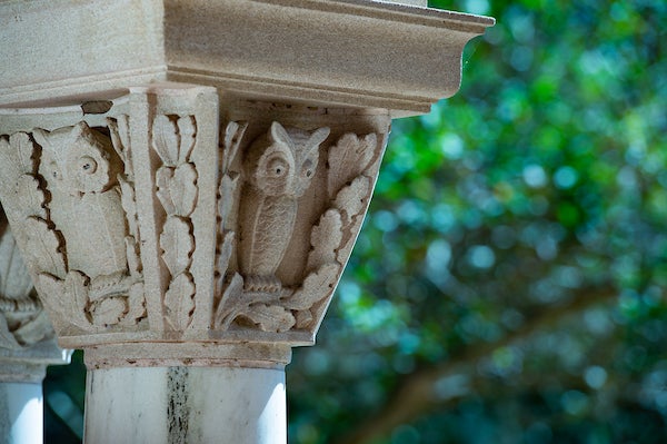 Column OWL